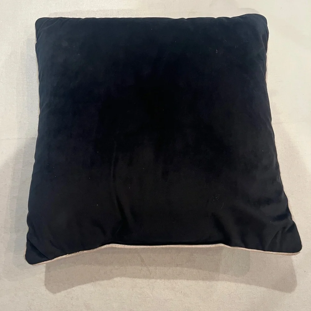 Black velour style Pillow with creepy Eye graphics. Perfect for Halloween!